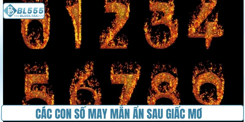 Các con số may mắn ẩn sau giấc mơ