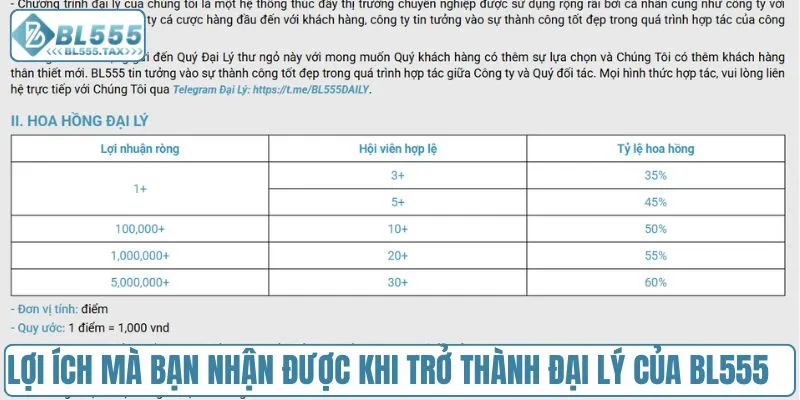 Lợi ích mà bạn nhận được khi trở thành đại lý của BL555