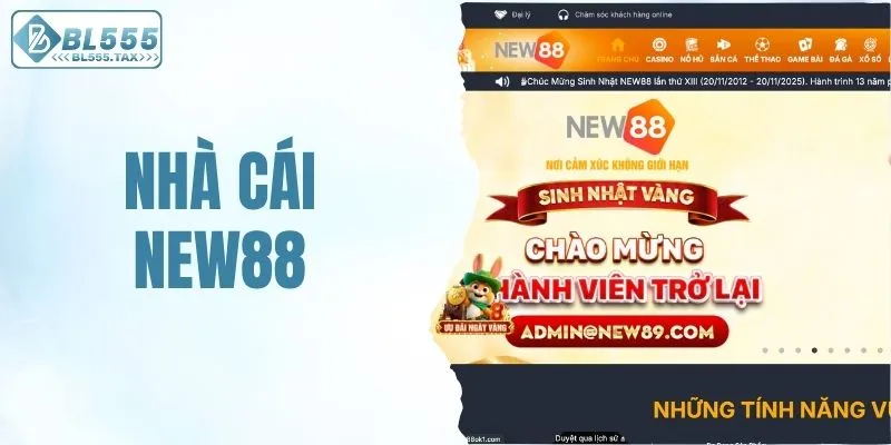 Nhà cái New88