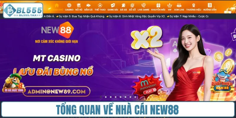 Tổng quan về nhà cái New88