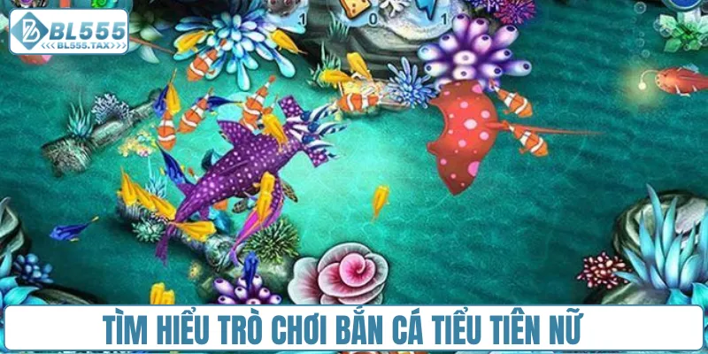 Trải nghiệm ba sảnh chơi bắn cá tiểu tiên nữ